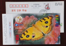 Butterfly,Junonia Almana,China 1999 Chinese Famous Butterfly Series Advertising Pre-stamped Card - Papillons