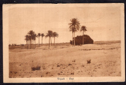 Libya - Tripoli - Oasi - Libia