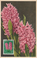 CARTE MAXIMUM - LUXEMBOURG - FLEURS : Jacinthe  (1955) - Cartoline Maximum