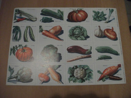Planche éducative Volumétrix - N°67 - Légumes - Learning Cards