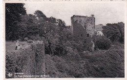 ZY 143- BEAUMONT - LA TOUR SALAMANDRE ( VUE DU PARC ) - ANIMATION - Beaumont