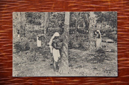 ASIE - SRI LANKA : COLOMBO , Rubber Tapping - Sri Lanka (Ceylon)