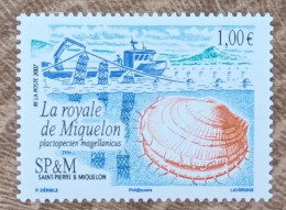Saint Pierre Et Miquelon - YT N°884 - Faune / Coquillage / Royale De Miquelon - 2007 - Neuf - Unused Stamps
