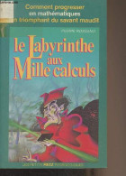 Le Labyrinthe Aux Mille Calculs - Rossano Pierre - 1990 - Unclassified