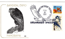 USA 1991 FDC Sandical Expo - Endangered Species - Birds California Condor - Omslagen Van Evenementen