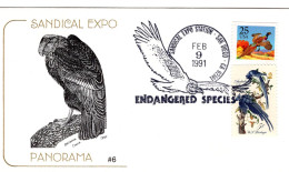 USA 1991 FDC Sandical Expo - Endangered Species - Birds California Condor - Enveloppes évenementielles