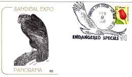 USA 1991 FDC Sandical Expo - Endangered Species - Birds California Condor - Omslagen Van Evenementen