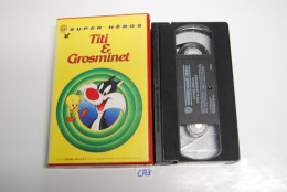 CA3 K7 VIDEO VHS TITI ET GROSMINET WARNER BROS - Cartoni Animati