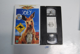 CA3 K7 VIDEO VHS JOEY WALIBI - Infantiles & Familial