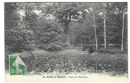 Foret De Sénart Mareaux Nénuphares - Sénart