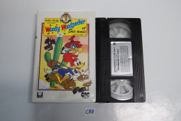 CA3 CASSETTE VIDEO VHS WOODY WOODPECKER VOL 4 - Cartoons