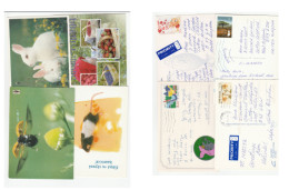 4 Diff FINLAND Postcards To GB Fruit Rabbit Mouse Insect Postcard Flower Tree Stamps Cover - Covers & Documents