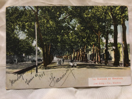 Postcard Argentina Mendoza 1900 Mailed - La Alameda En Mendoza - Argentina