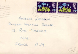 GB AFFRANCHISSEMENT COMPOSE SUR LETTRE POUR LA FRANCE 1971 - Lettres & Documents