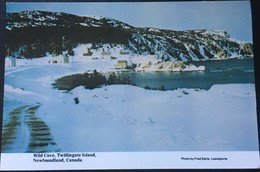 WILD COVE, TWILLINGATE ISLAND, NEWFOUNDLAND, CANADA. - Otros & Sin Clasificación