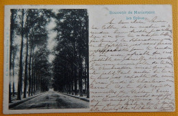 MARIEMONT  -  Entrée Du Parc - Morlanwelz