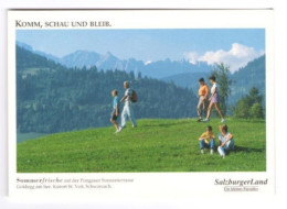 AK Salzburger Land Antwortkarte Werbekarte Österreich Austria - Goldegg