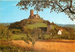 46 - SAINT CERE - LE CHATEAU ET L'EGLISE DE SAINT LAURENT LES TOURS - Saint-Céré