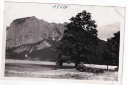 E5060) ALTAUSEEE Gegen Die Trisselwand - Wiese Und Einzelner Baum Mit Blick über See Auf Berge - Ausserland