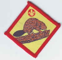 B 18 - 80 Scout Badge  - Scouting