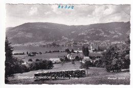 E5068) OSSIACH Und BODENSDORF  OSSIACHERSEE - Kärnten - Holzstapel Im Vordergrund ALT! - Ossiachersee-Orte