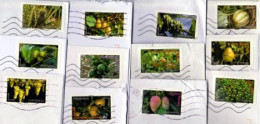 LES 12 TIMBRES DU CARNET " LETTRE VERTE - FRUITS " OBLITÉRÉS SUR FRAGMENTS_T2179 - Usati