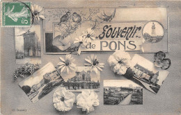 72-PONS- MULTIVUES - Pons