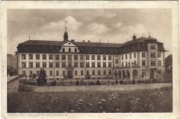 Appenzell Kollegium St Antonius 1919 Selten - Appenzell