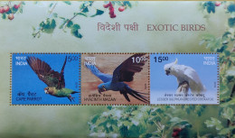 PARROTS - EXOTIC BIRDS - MACAW - CAPE PARROT - HYACINTH MACAW - LESSER SULPHUR-CRESTE  -MINIATURE SHEET - INDIA - 2016 - - Papagayos