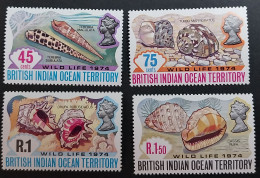 Coquillages Shells // Série Complète Neuve ** MNH ; Océan Indien Britannique YT 59/62 (1974) Cote 15 € - Territorio Británico Del Océano Índico