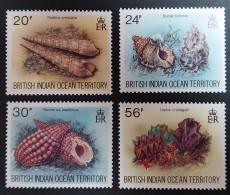 Coquillages Shells // Série Complète Neuve ** MNH ; Océan Indien Britannique YT 173/176 (1996) Cote 9 € - Territorio Britannico Dell'Oceano Indiano