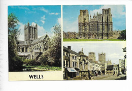 WELLS. - Wells