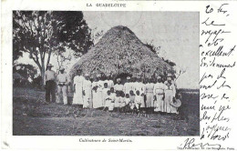 Guadeloupe Cultivateurs De Saint Martin - Saint Martin