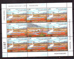 Montenegro 2021 Fauna Endangered National Wildlife Tivat Saline Mi.No.463 Mini Sheet (8+L)  MNH - Montenegro