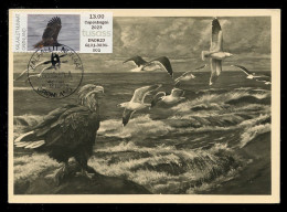 GREENLAND (2023) Carte Maximum Card ATM - White-tailed Eagle, Haliaeetus Albicilla, Pygargue à Queue Blanche, Bird Prey - Maximum Cards