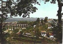 Portugal * & Postal, Vouzela, Vista Panorâmica, PUB Arlindo Dos Santos Nunes, Ed. Fisa Barcelona (516) - Viseu