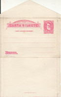 BRAZIL 1889 COVER LETTER UNUSED - Cartas & Documentos