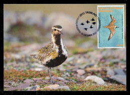 GREENLAND (2023) Carte Maximum Card - UN World Migratory Bird Day Golden Plover Pluvialis Apricaria Pluvier Doré Bird - Cartoline Maximum