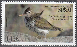 Saint-Pierre & Miquelon 2022 Oiseau Le Chevalier Grivelé Neuf ** - Nuovi