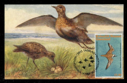 GREENLAND (2023) Carte Maximum Card - UN World Migratory Bird Day Golden Plover Pluvialis Apricaria Pluvier Doré Bird - Maximumkarten (MC)