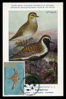 GREENLAND (2023) Carte Maximum Card - UN World Migratory Bird Day Golden Plover Pluvialis Apricaria Pluvier Doré Bird - Cartas Máxima
