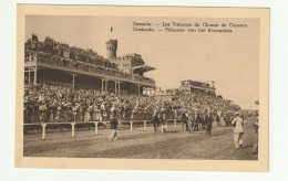 Oostende Pferd Horse Races Cheval Paard Les Tribunes Du Champ De Courses Htje - Oostende