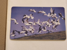 ROMANIA-(RO-ROM-0197)-The Danube's Delta 8-(78)-(80.000 Lei)-(4LMLWE)-used Card+1card Prepiad Free - Roumanie