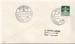 Postal History: Denmark Cover - Lettres & Documents