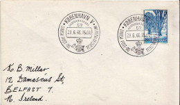 Postal History: Denmark Cover - Storia Postale