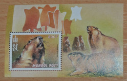 MONGOLIA 2000, Mongolian Marmot, Rodents, Animals, Fauna, Mi #B318, Souvenir Sheet, MNH** - Nager