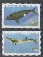 Chile - 2002 Whales. MNH.** - Cile