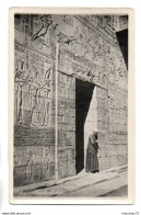 (Egypte) 284, Edfou, Lhnert & Landrock, Temple Reliefs - Edfou