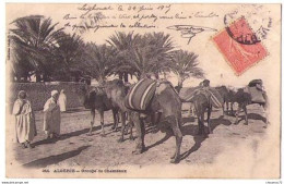 (Algérie) 180, Algérie, Collection Idéale PS 244, Groupe De Chameaux, état - Beroepen