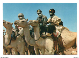 GF Niger 014, IRIS 5876, Touarges - Niger